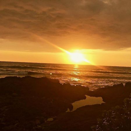 Unwind On Your Fantasy Hawaiian Vacation- 1Bd/1Ba Condo In Kailua-Kona, Hawaii Экстерьер фото