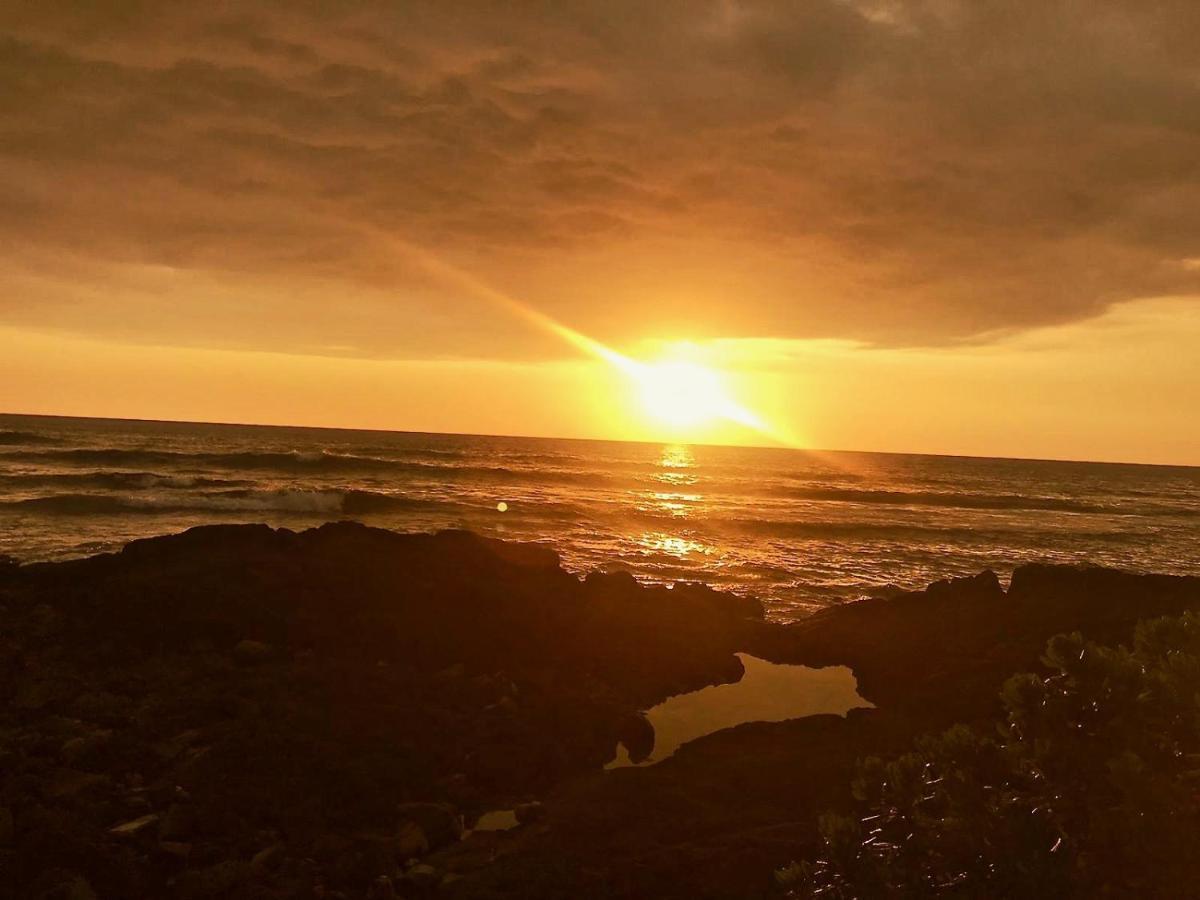 Unwind On Your Fantasy Hawaiian Vacation- 1Bd/1Ba Condo In Kailua-Kona, Hawaii Экстерьер фото