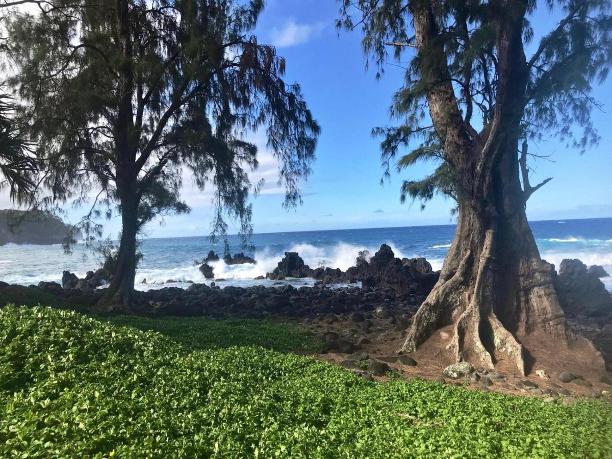 Unwind On Your Fantasy Hawaiian Vacation- 1Bd/1Ba Condo In Kailua-Kona, Hawaii Экстерьер фото